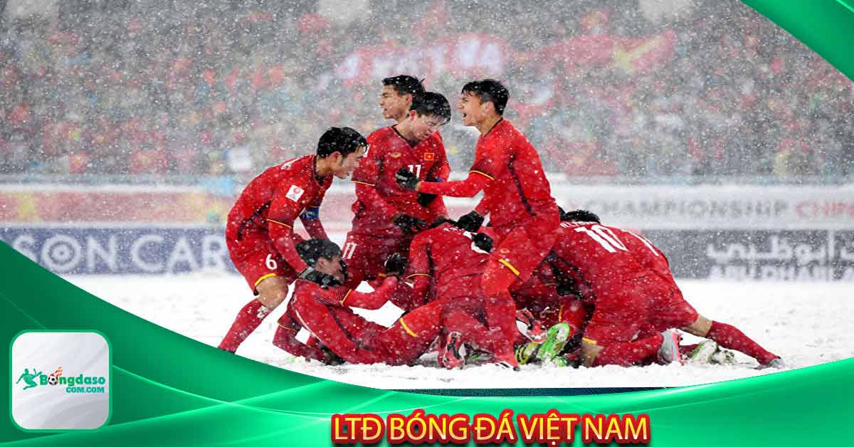 Ltđ bóng đá Việt Nam