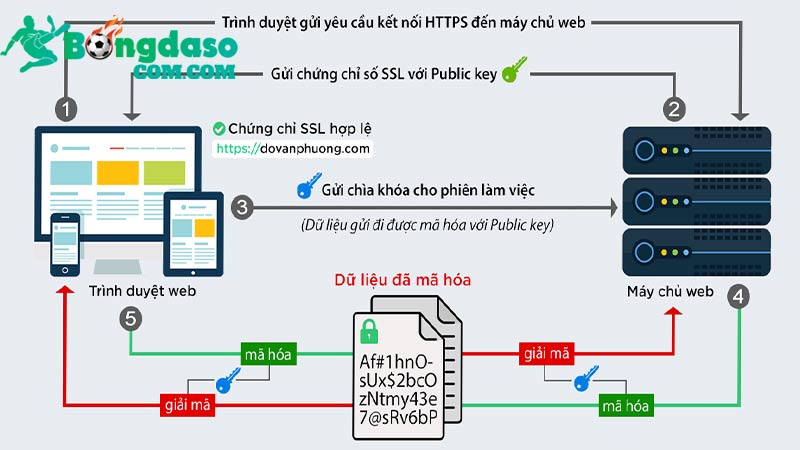 Quá trình hoạt động của SSL